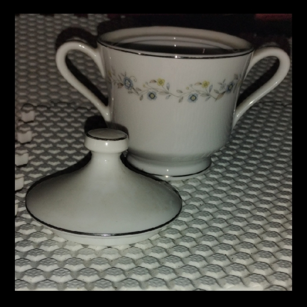 Acsons chantilly fine china,platinum trim.Status: The pattern is discontinued.